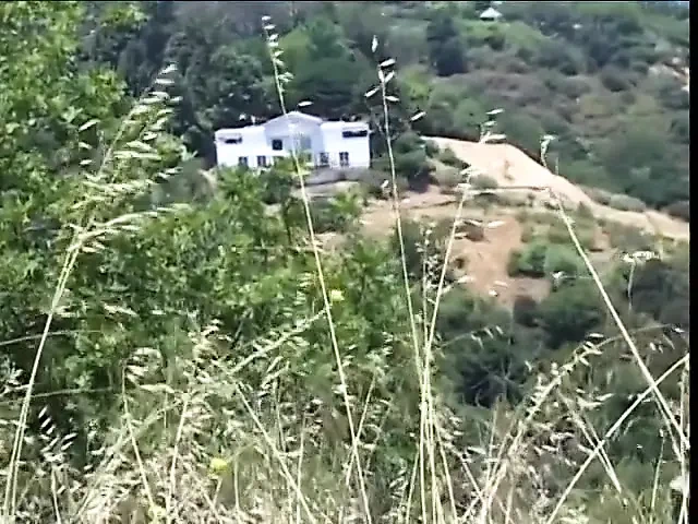 Ateşli zenci kız sert sikiliyor