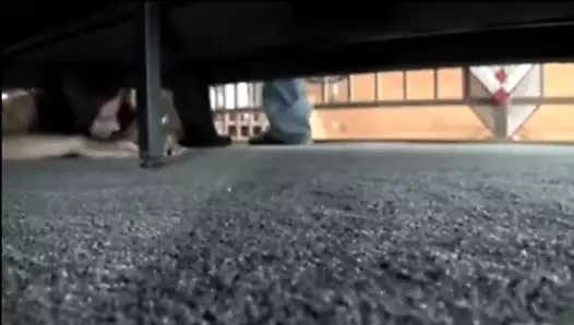 Seksi ve busty üvey anne sıkıştı