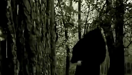 Brunette bien gaulee