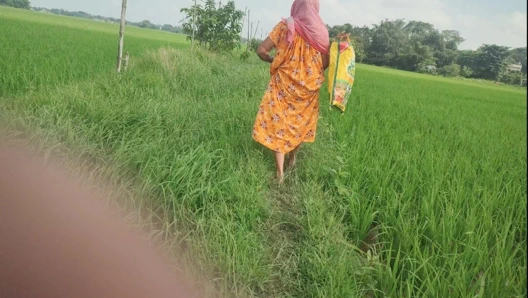 Köylü nine tarlada işiyor