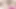 Seksi karım ailesinin evinden geldi ve beni emmeye başladı