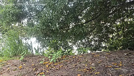 Is there a bad wolf in this dangerous bush rsrsr