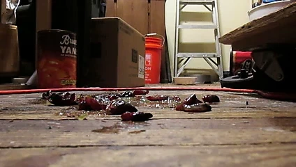 Siyah ayakların altında üzüm ezmek