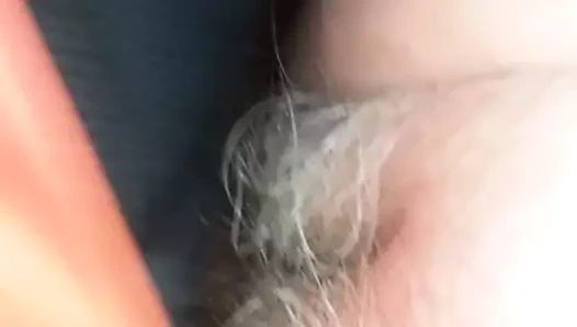 Olgun kedi kahrolası