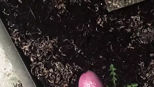 Alles verspritzt was geht