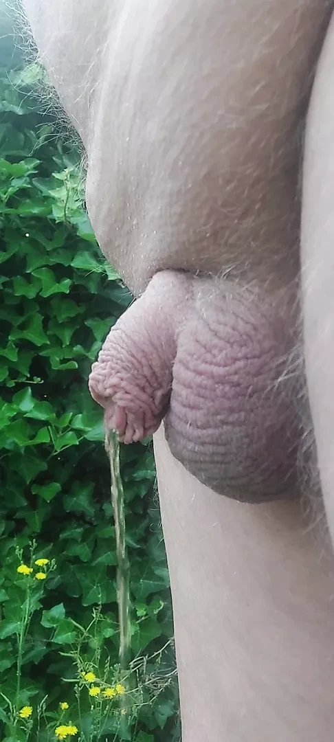 Küçük yarak işiyor