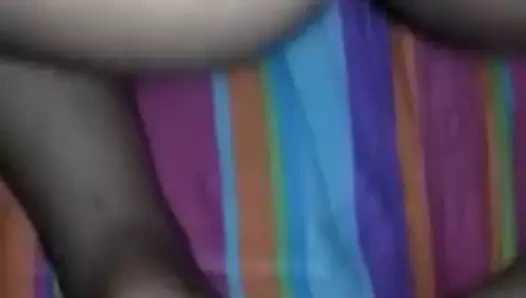 Arap levrette gros culs