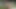 kız kız kıza kahrolası