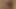 Hint