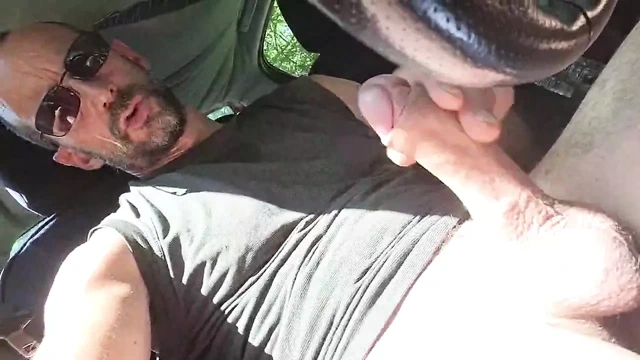 orman yolunun kenarında, Remi06cam4