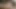 Groobygirls: doruk pazartesi ile zambak kraliçesi