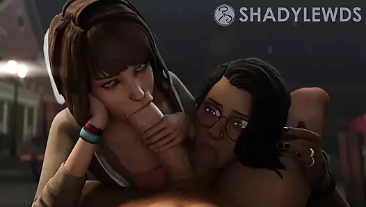 Max ve alex tag team büyük bir horoz (hayat garip)