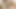 kız öğrenci kıyafeti paige tilki berbat ve sikikleri içinde Zvidz-seksi sürtük - 4k