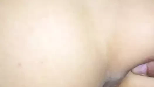 Sperm içinde benim kedi