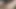 Chickpass - selena onu kedi büyük bir siyah yapay penis ile yapıyor