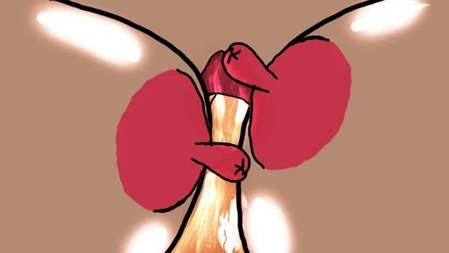 Sıcağı arzulama: karşı konulmaz arzunun bir vitrini