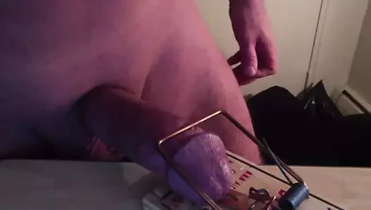 Fare tuzağı.. Hayır.. fare tuzağı