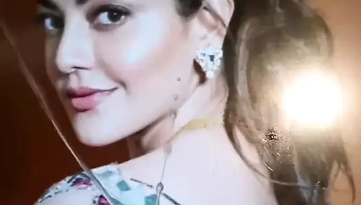 Kajal agarwal reverse cum tribute by shannu