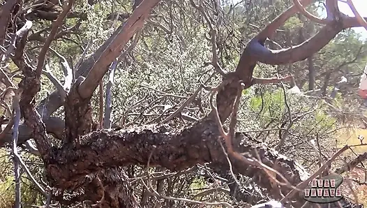 Furry Wilderness üçlü grup seks!