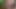 New York City, Amerika Birleşik Devletleri'nden büyük sarkık memeli esmer genç karısı büyük bir horoz tarafından becerdin alır - full hd