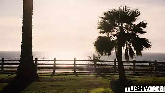 Tushy tori siyahın şimdi bir dp'ye ihtiyacı var