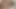 At kuyruklu seksi Avrupalı genç kız sert anal seks yapıyor