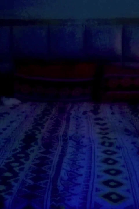 Otel Odasında Seksi Bir Balayı Hintli Çift La Nivas Nainital