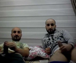 İkiz ayılar 291118