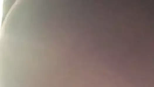 Kuyruk tüyümü sallayarak pt i