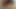 Lanet bir evli kadın hile koca köpek sivri uçlu