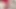 Cheating Latina MILF Mature Wife Birthday: Dildo Gift + Fingering then Doggystyle Dildo Fucking Real Homemade