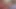 Porno Dan ve üvey oğlu takım itaatkar küçük tavşan Alexa Flexy - porno dan 4k