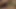 Bu seksi orta yaşlı seksi hatun ıslak amına büyük bir yarak almayı seviyor