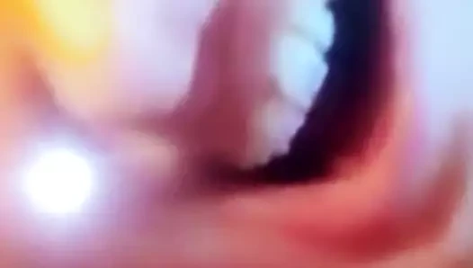 H hhbb