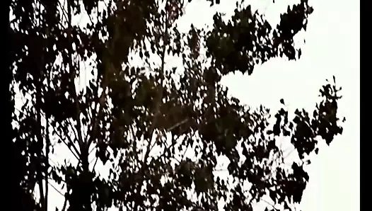 İkonik softcore klasikleri 1