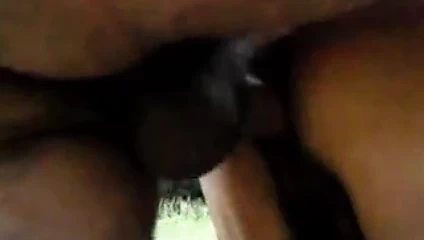 Polonya'dan 49 yaşında