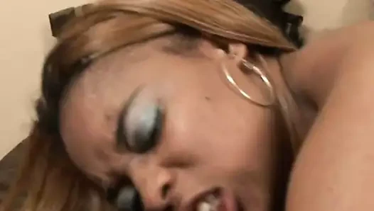 Abanoz kaltak sürmek büyük siyah horoz içinde ters