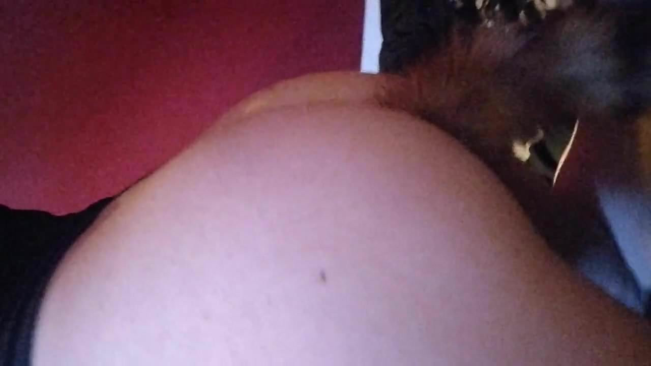 Sissy joslin onun tailplug sallayarak (yan görünüm)