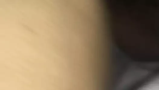 Kremsi kedi Creampie