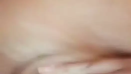 oyuncak kedi