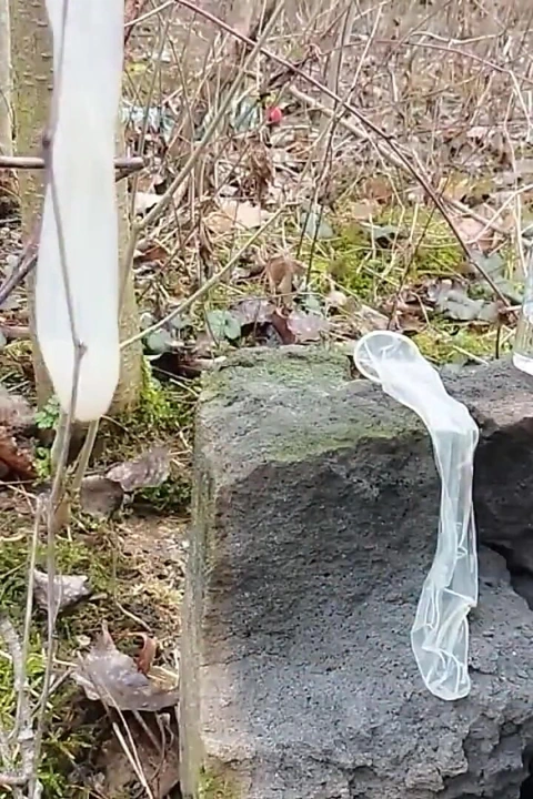 Açık havada sikildikten sonra iki dolu prezervatiften boşalıyor ve döl yedikten sonra mastürbasyon yapıyorum