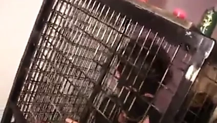 Tres belle hakimiyet kadınsı