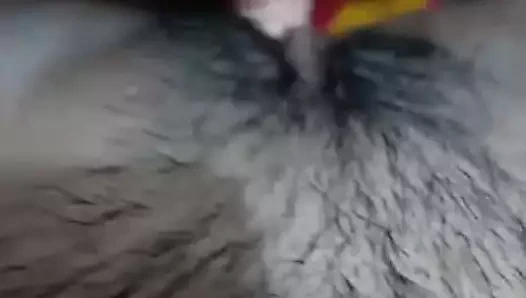 Indon parmak ona kedi