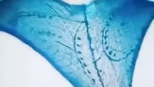 Güzel, seksi karımla farklı pozisyonlarda seks yapmak