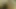 Büyük götlü ateşli eliza eves için tabu üçlü seks - ahlaksız aile 4k
