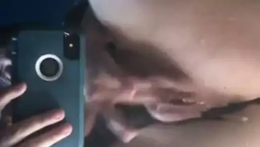 Aynanın önünde güzel kedi fışkırtma