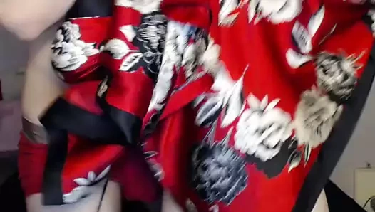 Kira kullanılan üzerinde kam