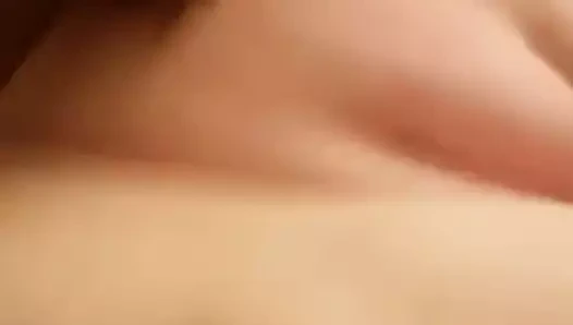 Büyük kar tavşanı bbc alır