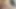 Orgazm olmak ve fışkırtmak için dildo ile mastürbasyon