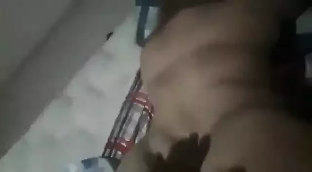 La pongode perrito